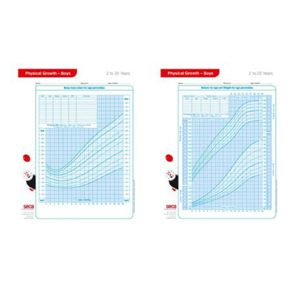 Picture of Growth Charts Boys 2-20 Years seca® 406B Boys 2-20 Years 8-1/2 W X 11 H Inch4060B