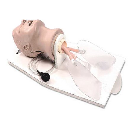 Picture of Adult Airway Management Trainer with Stand Life/Form®LF03699