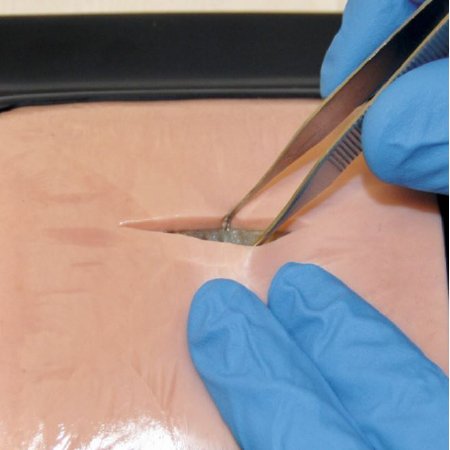 Picture of Life Like Skin LifeLike Biotissue®SB48846