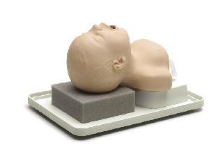 Picture of Neonatal Intubation Trainer Mannequin Neonate250-00101