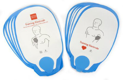 Picture of Simulator Training Electrode11250-000052