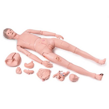 Picture of Patient Care Pro Training Manikin American 3B Scientific® Male / Female Interchangeable 52 lbs. PlasticSB51955
