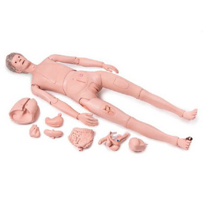 Picture of Patient Care Pro Training Manikin American 3B Scientific® Male / Female Interchangeable 52 lbs. PlasticSB51955