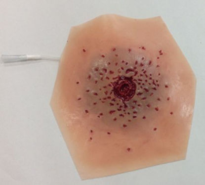 Picture of Moulage Xtreme Intermediate Shotgun Entry Plastic800-009