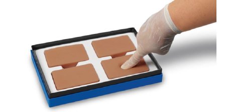 Picture of Pitting Edema Trainer - Medium Life/Form®LF00800