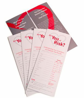 Picture of Pamphlet Are You At Risk12300