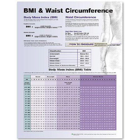 Picture of Anatomical Chart BMI and Waist Circumference Chart 20 X 26 Inch Plastic Wall Mount Laminated9780781772273