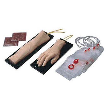 Picture of IV Training Arm Carry Tray and Blood140-146