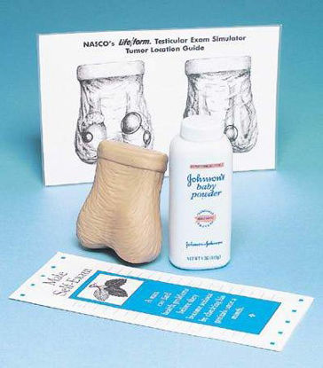 Picture of Testicular Exam Simulator Life/Form® MaleLF01143