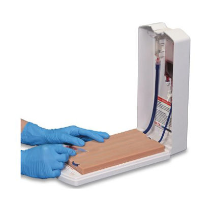 Picture of Vein Venipuncture Training Aid NascoSB29869