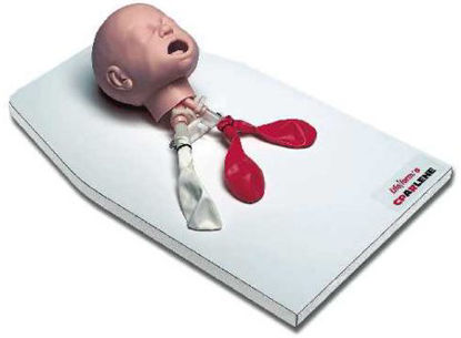 Picture of Infant Airway Management Trainer with Stand Life/Form®LF03623