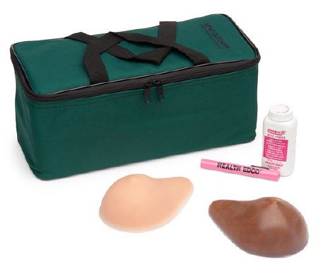 Picture of Breast Self-Examination Model Standard BSE TrueForm™ Models Beige Skin Tone Female AdultSB52464