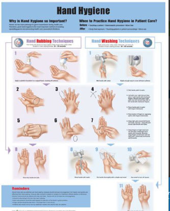 Picture of Anatomical Chart Hand Hygeine 20 X 26 Inch Heavy Paper Grommets Laminated9781451193381