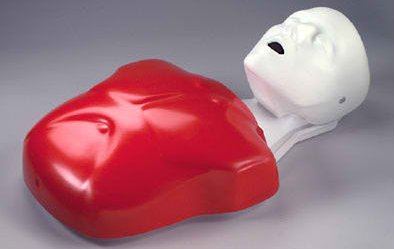 Picture of CPR Mannequin Basic Buddy™ Gender Neutral Adult / ChildLF03693