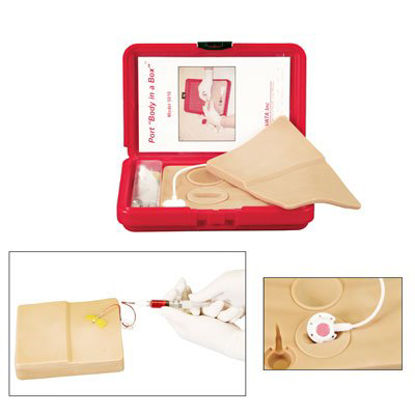 Picture of Port Model Body In A Box™SB43089