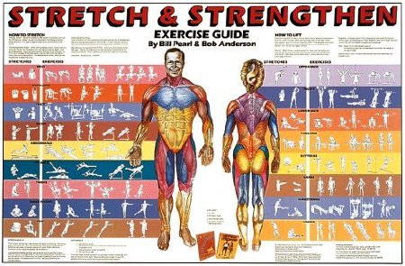 Picture of Chart Stretch and Strengthen 23 X 35 Inch Heavy Paper Laminated5009-L