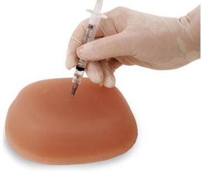 Picture of Injection Teaching Model Soft SyntheticSB23496