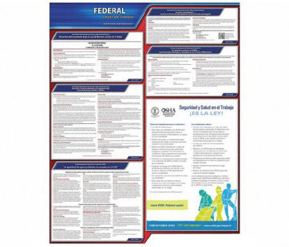 Picture of OSHA Labor Law Poster Federal Employment Laws9XWL7