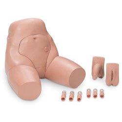 Picture of Interchangeable Catheterization & Enema Simulator Male and Female Genitalia, Six Connectors, and Carry CaseLG02099