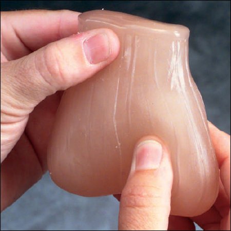 Picture of Testicular Self Examination ModelA26400