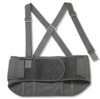 Picture of Back Support ProFlex® Standard, Large 9 Inch Adult11104