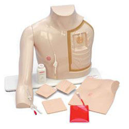 Picture of Mannequin Chester Chest™SB18636