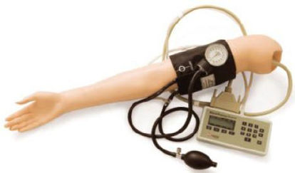 Picture of LIFELIKE, ADLT BLOOD PRESSURE TRAINING ARM375-40501