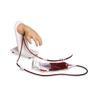 Picture of Advanced IV Hand Model Life/Form®LF01139
