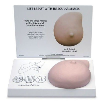 Picture of Breast Model Galloway Plastics Female Full-Size Left Breast 2-1/4 lbs.SB52334