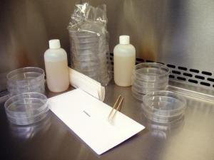 Picture of Student Lab Activity TSA Microbiology Bacteria6731005