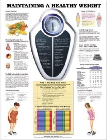 Picture of Anatomical Chart Maintaining a Healthy Weight 20 X 26 Inch Heavy Paper Grommets Laminated9781587794100