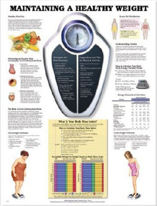 Picture of Anatomical Chart Maintaining a Healthy Weight 20 X 26 Inch Heavy Paper Grommets Laminated9781587794100