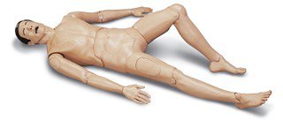Picture of Training Mannequin Crash Kelly Adult201-10001