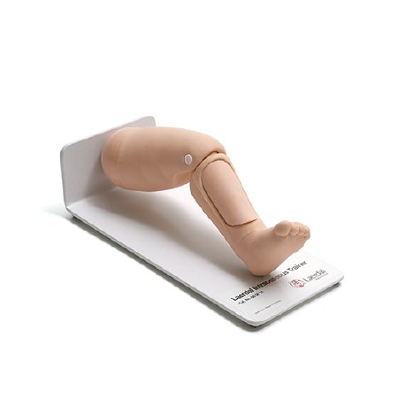 Picture of Intraosseous Trainer Laerdal® Infant080015