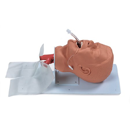Picture of Adult Airway Trainer 10 lbs.101-500