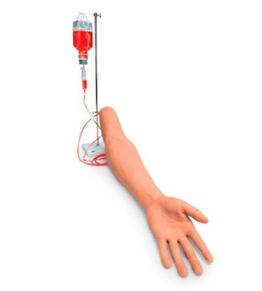 Picture of IV and IM Injection Arm American 3B Scientific® 8 lbs.SB25998
