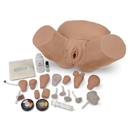 Picture of Advanced Pelvic and Gyn Simulator Life/Form®LF01235