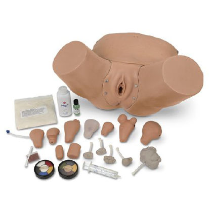 Picture of Advanced Pelvic and Gyn Simulator Life/Form®LF01235