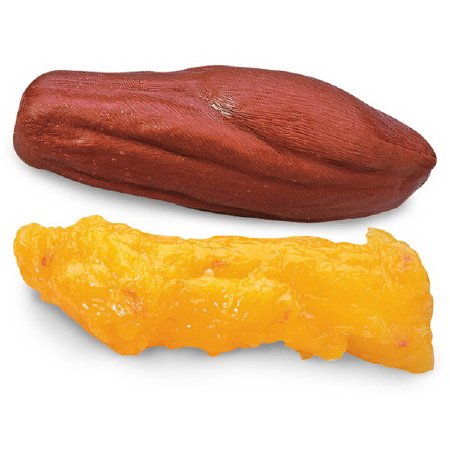 Picture of Fat and Muscle Replicas Life/Form® 5 lbs. Vinyl PlasticWA25814