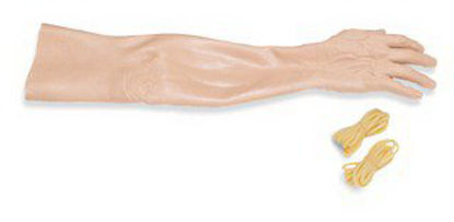 Picture of Replacement Skin and Veins Adult375-60150