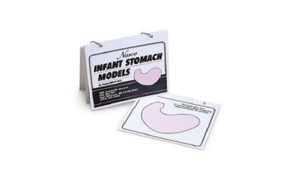 Picture of Flip Chart Nasco Infant Stomach Guide 6 X 7 Inch Plastic Ring Bound Siky ScreenWA16941