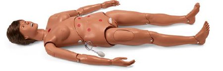 Picture of Hospital Training Manikin Gaumard® Susie/Simon® Male / Female Interchangeable Adult 46 lbs.SB20142