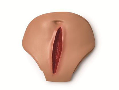 Picture of Belly Plate Laerdal®300-03550T