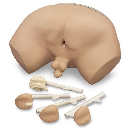 Picture of Prostate Examination Simulator Life/Form® Male 19 lbs.LF00901