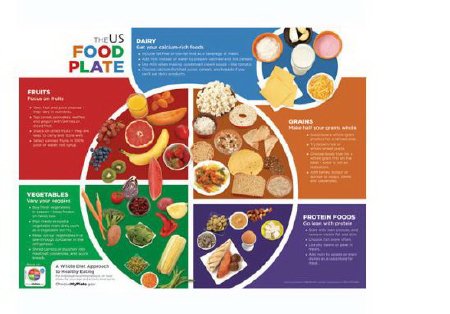 Picture of Food Plate Poster Learning ZoneXpress LaminatedWA26735