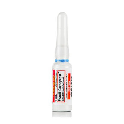Picture of Clinical Training Medication Practi-Carboprost™ 1 mL Ampule Distilled Water Liquid455CA