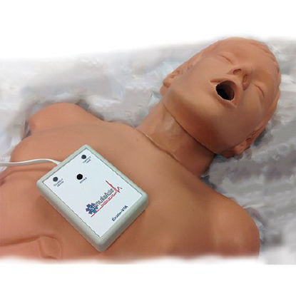 Picture of CPR Trainer Manikin Simulaids® Adult Vinyl / Foam100-2160