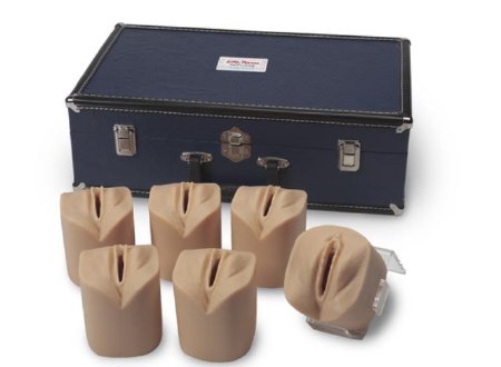 Picture of Cervical Dilatation and Effacement Simulators Life/Form®LF01068