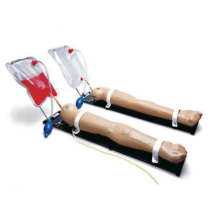 Picture of Venous Training ArmSB32870B