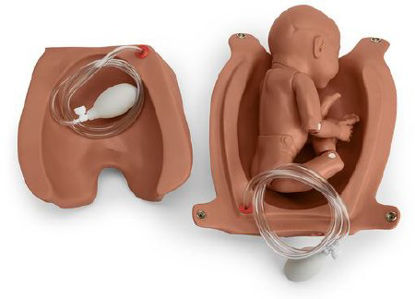 Picture of Articulating Newborn foro Leopold's Maneuvers GaumardSB32873